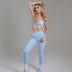Seamless Women's Fitness Legging - Classic